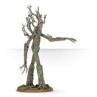 Ent(60)