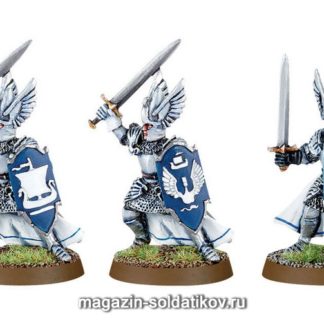 Knight Dol Amroth