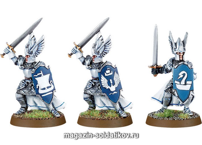 Knight Dol Amroth