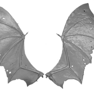 Wings