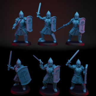 Heads 6  ( Warriors Minas Tirith  )