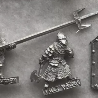 Dwarf Vault Warden Team №2