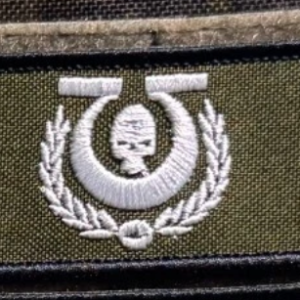 №6