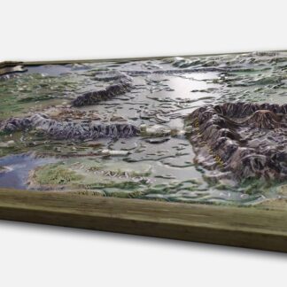 Map 3D